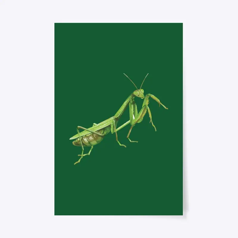 MANTIS